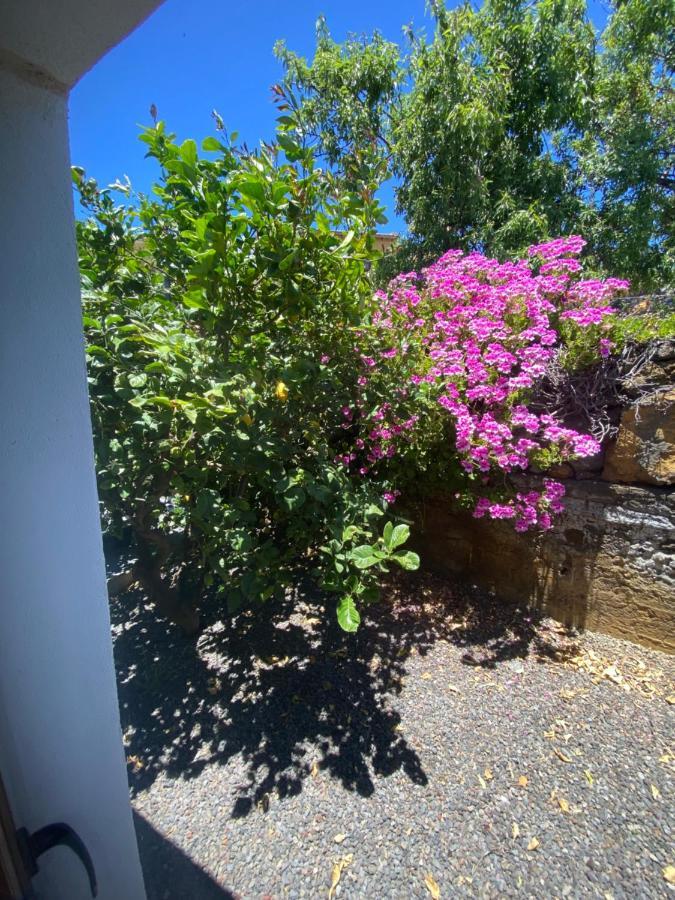 Vivienda Vacacional Casa Pancho Taibique Exteriör bild